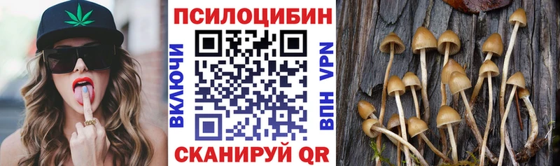 Псилоцибиновые грибы прущие грибы  Жердевка 